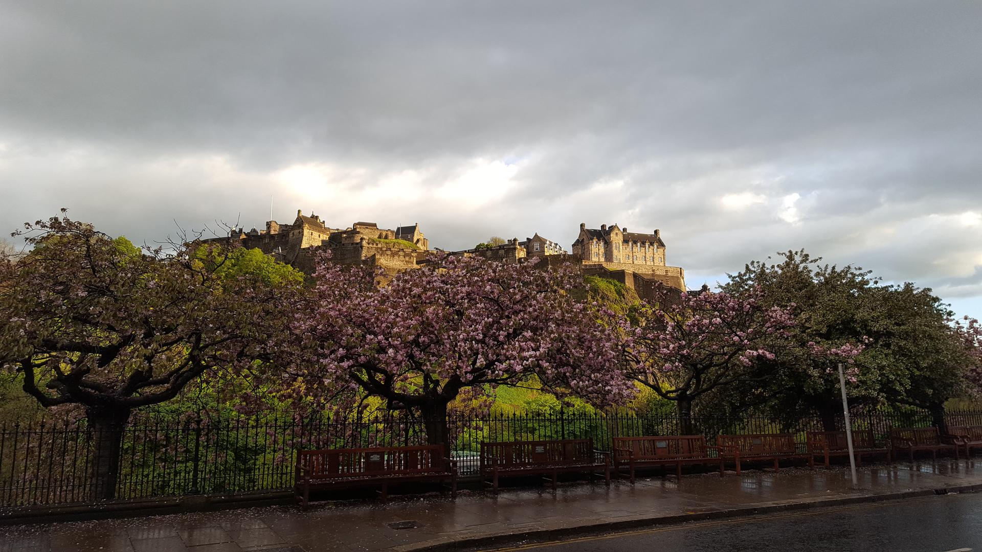 xp 2016 edinburgh